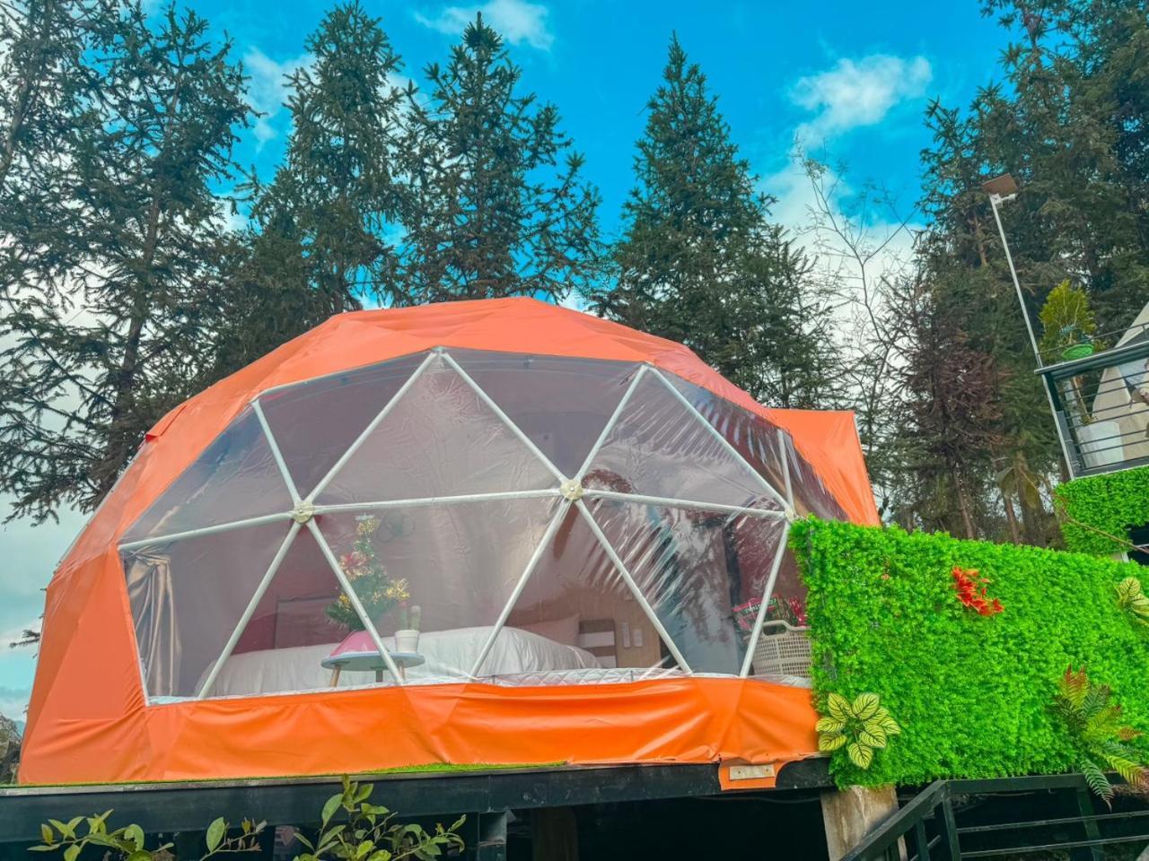 Plum Homestay ドン・ヴァン エクステリア 写真
