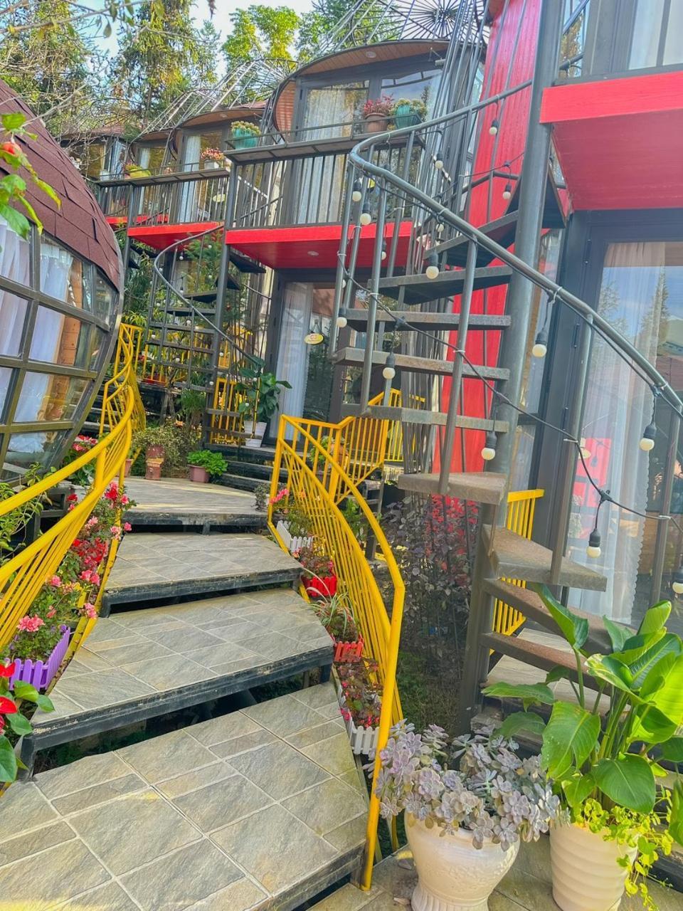 Plum Homestay ドン・ヴァン エクステリア 写真