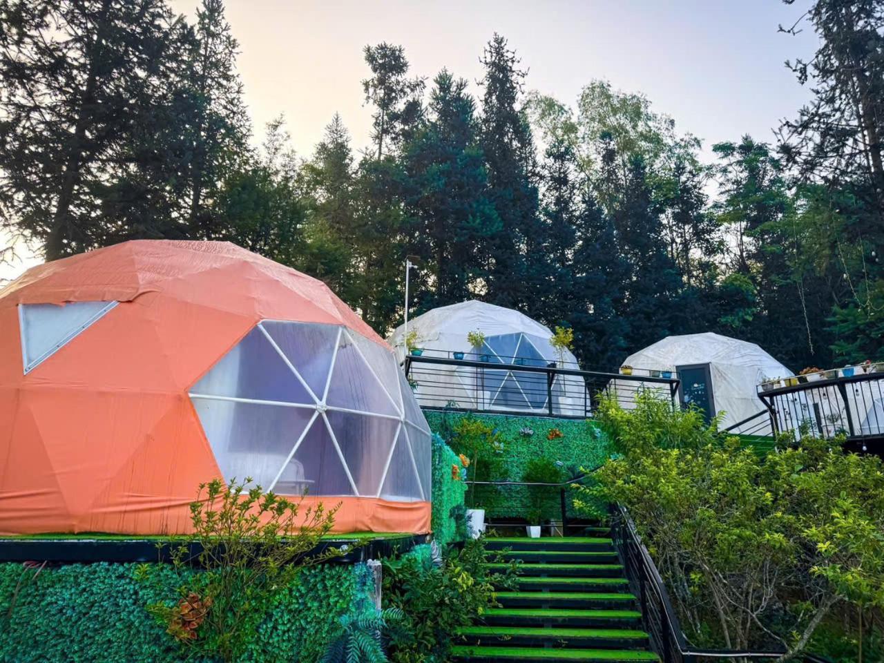 Plum Homestay ドン・ヴァン エクステリア 写真